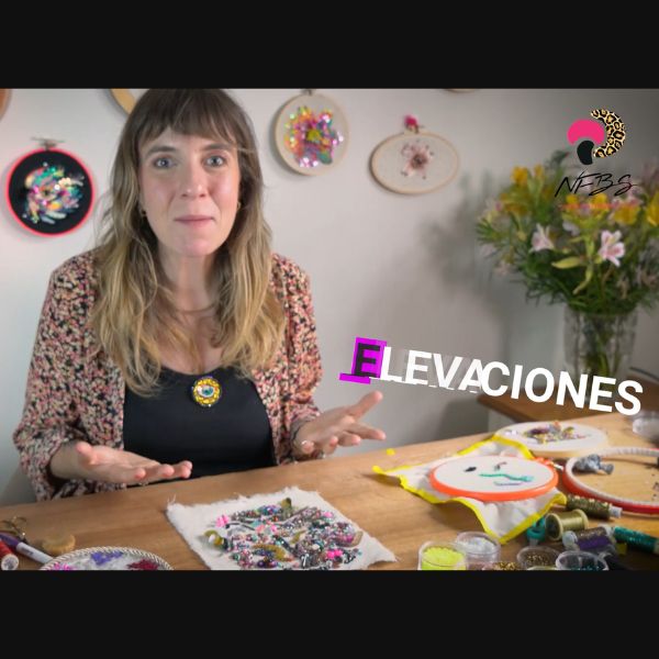 Javiera Ballacey exponiendo durante su clase online